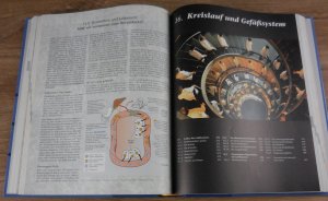 gebrauchtes Buch – Lehrbuch und Atlas des menschlichen Körpers