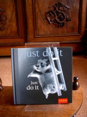 gebrauchtes Buch – Chiara Doran – Just do it. Happy days.