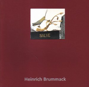 gebrauchtes Buch – Heinrich Brummack – Heinrich Brummack. Modelle, Skulpturen, Utensilien, Beziehungskisten.