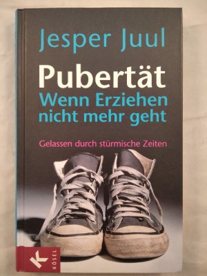 gebrauchtes Buch – Juul, Jesper und Mathias Voelchert  – Pubertät - Wenn Erziehen nicht mehr geht. Gelassen durch stürmische Zeiten.