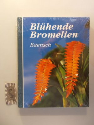 Blühende Bromelien.