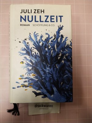 gebrauchtes Buch – Juli Zeh – Nullzeit.