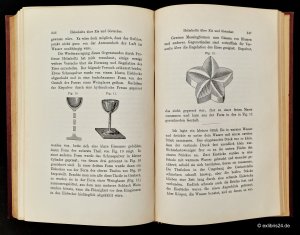antiquarisches Buch – John Tyndall – In den Alpen : Autorisierte Deutsche Ausgabe. Mit einem Vorwort von Gustav Wiedemann