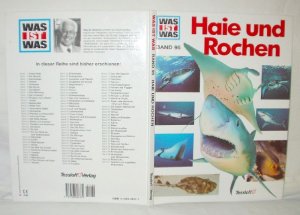 Haie und Rochen