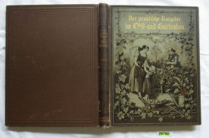 Der praktische Ratgeber im Obst- und Gartenbau - Illustrierte Wochenschrift für Gärtner, Gartenliebhaber und Landwirte - Jahrgang 1905