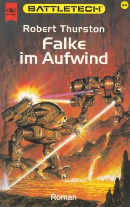 gebrauchtes Buch – Robert Thurston – Falke im Aufwind