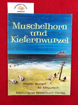 Muschelhorn und Kiefernwurzel.