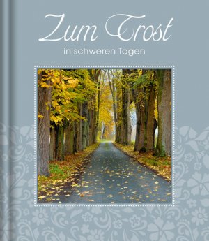 gebrauchtes Buch – Heyel Dorothea – Heyel, Zum Trost (Esprit)