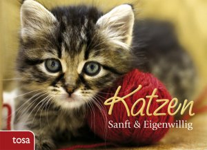 Katzen: Sanft & Eigenwillig