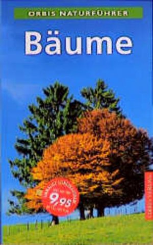 gebrauchtes Buch – Kremer Bruno, P – Bäume