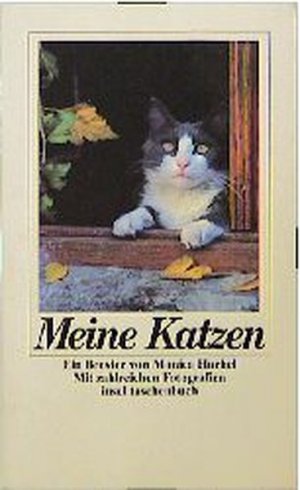 gebrauchtes Buch – Monica Huchel – Meine Katzen (insel taschenbuch)