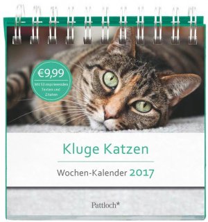 gebrauchtes Buch – Kluge Katzen - Wochen-Kalender 2017