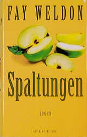 gebrauchtes Buch – Fay Weldon – Spaltungen: Roman