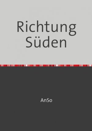 gebrauchtes Buch – AnSo Fröhlich – Richtung Süden