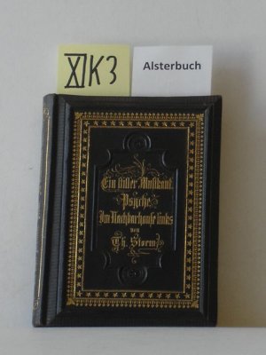 Ein stiller Musikant. Psyche. Im Nachbarhause links.