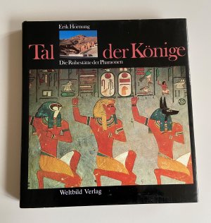 gebrauchtes Buch – Erik Hornung – Tal der Könige