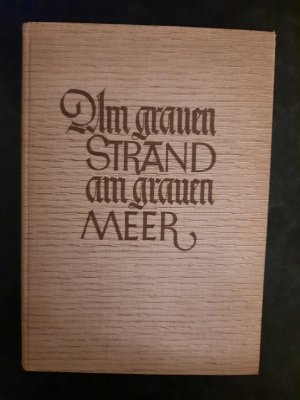 antiquarisches Buch – Theodor Storm – Am grauen Strand, am grauen Meer.