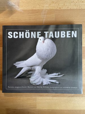 Schöne Tauben