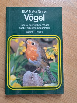 gebrauchtes Buch – Dr. Walther Thiede – Vögel - BLV Naturführer