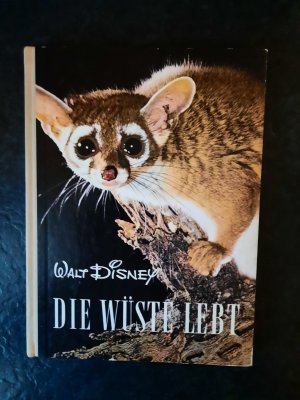 Die Wüste lebt