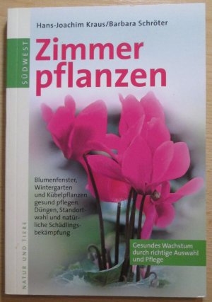 Zimmerpflanzen