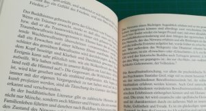 gebrauchtes Buch – Verena Reichle – Die Grundgedanken des Buddhismus