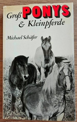 gebrauchtes Buch – Michael Schäfer – Großponys und Kleinpferde