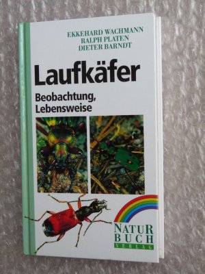 Laufkäfer - Beobachtung, Lebensweise