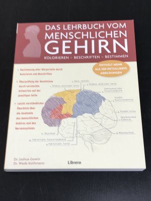 Das Lehrbuch vom menschlichen Gehirn - Kolorieren, Beschriften, Bestimmen