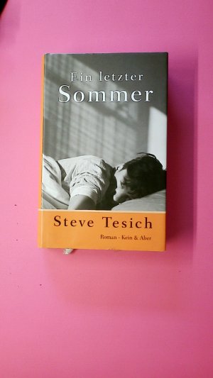 gebrauchtes Buch – Steve Tesich – EIN LETZTER SOMMER. Roman