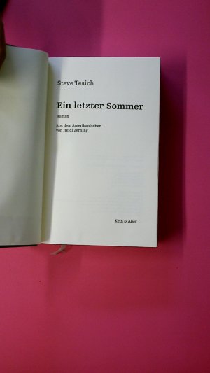 gebrauchtes Buch – Steve Tesich – EIN LETZTER SOMMER. Roman