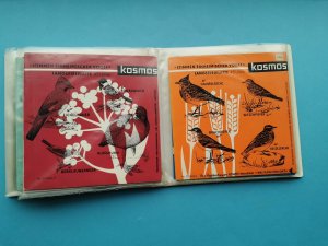antiquarisches Buch – Kosmos – Kosmos   -   Stimmen einheimischer Vögel
