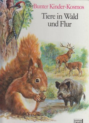 gebrauchte Buecher