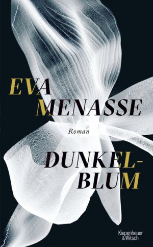 gebrauchtes Buch – Eva Menasse – Dunkelblum : Roman / Eva Menasse Roman