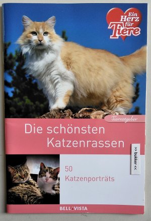 Die schönsten Katzenrassen - 50 Katzenporträts