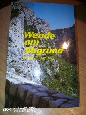 gebrauchtes Buch – Pauline Hamilton – Wende am Abgrund