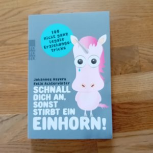 gebrauchtes Buch – Hayers, Johannes; Achterwinter – Schnall dich an, sonst stirbt ein Einhorn! - 100 nicht ganz legale Erziehungstricks