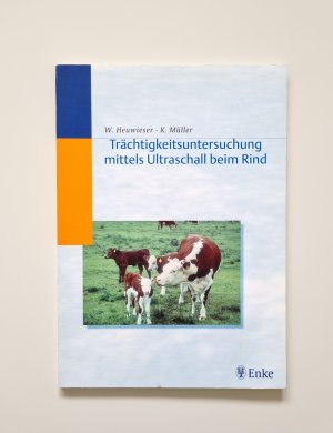 Trächtigkeitsuntersuchung mittels Ultraschall beim Rind (2000, Zstand gut)