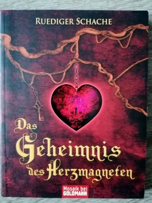 gebrauchtes Buch – Ruediger Schache – Das Geheimnis des Herzmagneten