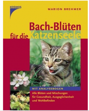 Bach-Blüten für die Katzenseele