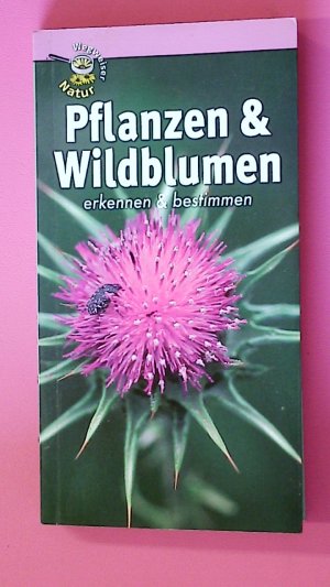 gebrauchtes Buch – Jean-Marie Polese – PFLANZEN & WILDBLUMEN. erkennen & bestimmen