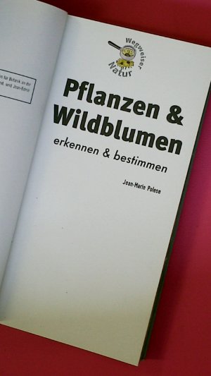 gebrauchtes Buch – Jean-Marie Polese – PFLANZEN & WILDBLUMEN. erkennen & bestimmen