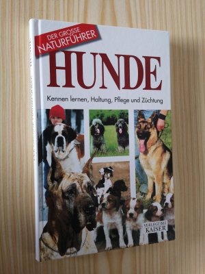 gebrauchtes Buch – Rino Falappi – Hunde