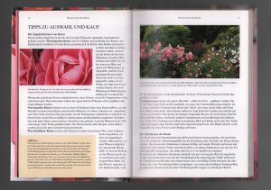 gebrauchtes Buch – Becker, Jürgen /Sandra Lindner – Rosen /Sorten, Pflege und Gestaltung--300 BELIEBTE ROSENSORTEN AUS ALLER WELT Herkunft, Blüte, Wuchs und Pflege Tipps zur Gartengestaltung mit Rosen