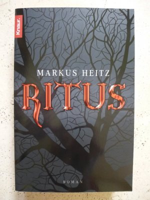 gebrauchtes Buch – Markus Heitz – Ritus