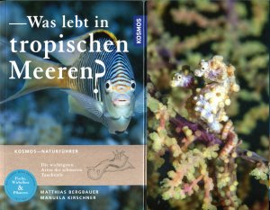 Was lebt in tropischen Meeren?