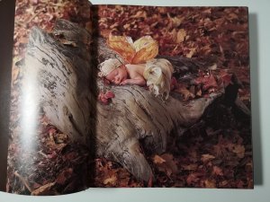 gebrauchtes Buch – Anne Geddes – Willkommen!