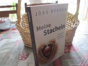 gebrauchtes Buch – Jörg Berger – Meine Stacheln - Wie Sie Ihre Schwächen entschärfen