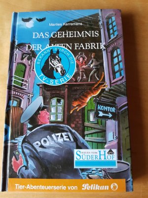 Neues vom Süderhof / Das Geheimnis der alten Fabrik