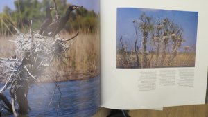 gebrauchtes Buch – Das Donaudelta-Delta Dunarii - The Danube Delta-3 sprachig